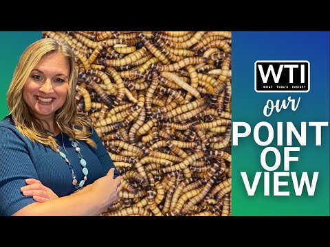 Bassetts Cricket Ranch Superworms - WTI product video review
