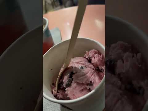 Batter | Icecream & Sundae | Underrated Icecream spot | Alwarpet-Chennai | Sujay Happy Trails
