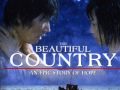 Zbigniew Preisner - The Beautiful Country