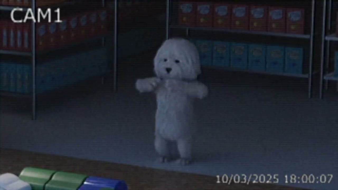 防犯カメラ廃棄映像（2025.10.3）