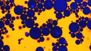 INK   C Peace Of Mind   Blue Cheer Psychedelic Masterpiece 1969