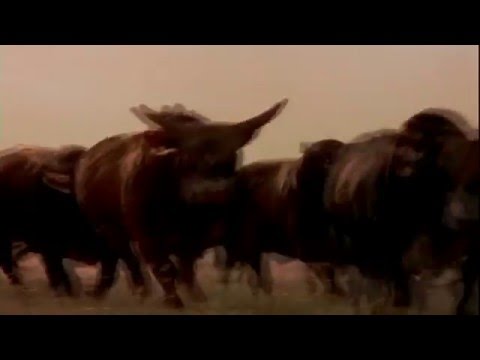 Video thumbnail for Lane’s Theme