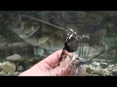 Molix FS Spinnerbait 5/16 Italian Tackle Review by FishinGurus Chicago Fishing Gear Accesories