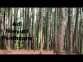 Nadhiye Nadhiye Kadhal Nadhiye Whatsapp Status