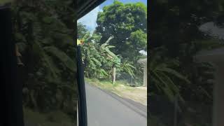 J&D on the sea #travel#dominica #piratesofthecaribbean #cruisetour