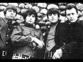 The Standells - Big Boss Man (1965) 