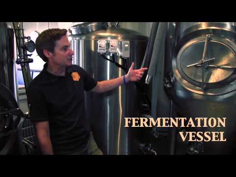 Fate Brewing Company: The Process of Brewing Beer