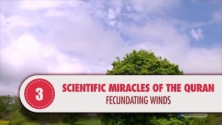 Video: In Quran 15:22, fertilizing Winds propogate the fruit and plant seeds - Quran Miracle