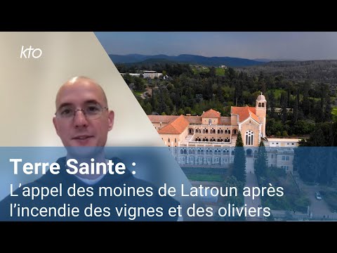 Terre Sainte : l’appel des moines de Latroun après l’incendie des vignes et des oliviers