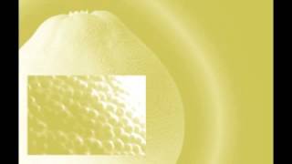 Brendon Moeller - Loudness Sustain Decay