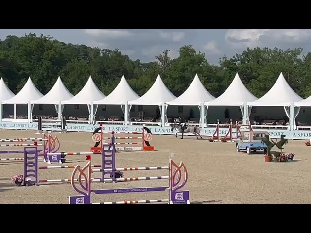 Hongre 10ans pour 135/140