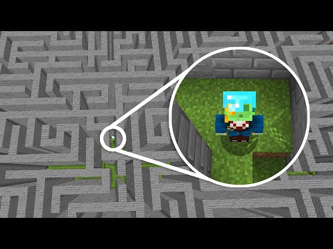 CEL: WYDOSTAĆ SIĘ ZE STRZEŻONEGO LABIRYNTU na REBORN SMP...