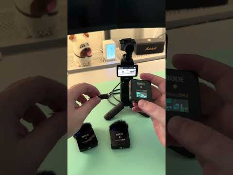 DJI Pocket 3 with Rode Wireless GO 2 #djipocket3 #rode #rodemic #rodewirelessgo