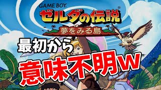 【ゼルダの伝説 夢をみる島】最初から意味不明すぎる神ゲーｗ【GB/レトロ】