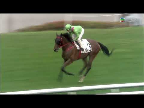 2021/22 (439) - Leading Fortune (連連行運) - 巴度 (跑起狀態負磅再贏一仗)