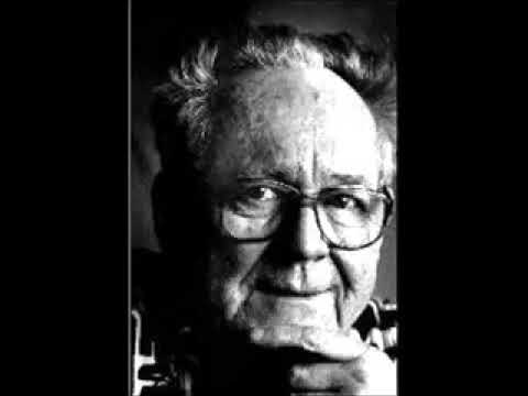 Wiel Knipa - D'r Heèlesje wink