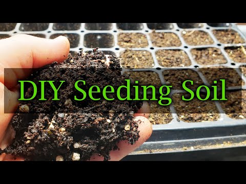 How To Reuse Old Potting Soil FOUR ways