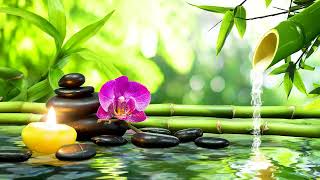 Relaxing Music Relieves Stress, Anxiety, and Depression 🌿 Sounds Of Water #2
