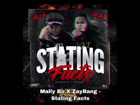 Mally Bo X ZayBang - “Stating Facts” (BASS BOOSTED)