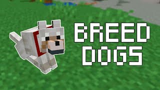 How to Breed Dogs in Minecraft (All Versions)