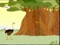 Vídeo Tucky Tales El Avestruz