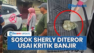Sosok Sherly Annavita yang Diteror Usai Kritik Penanganan Banjir Sumatera, Rumah Dikirim Telor Busuk