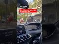 Horses Run Loose In Central London