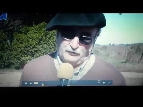 Curso de Adiestramiento de Perros en Puntas del Sauce Flores