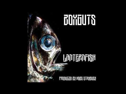 Boxguts - Lanternfish (prod. Hobs StayBusy)