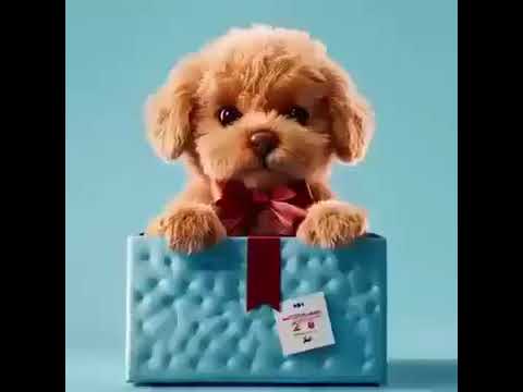 My Realistic Robot Puppy