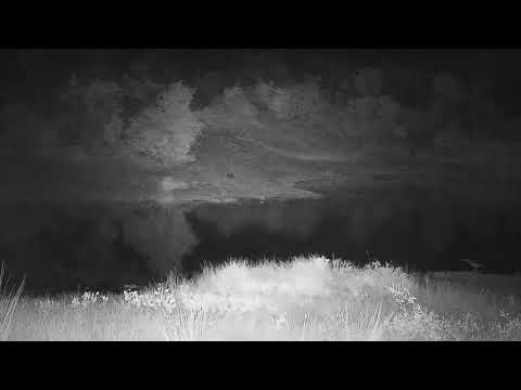 Djuma: Hippo 'female' comes out of water to graze - 02:03 - 03/04/2022