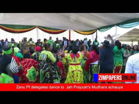 Zanu-PF delegates dance to Jah Prayzah's Mdara achauya