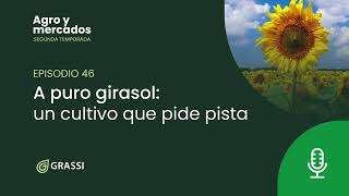 T 2 EP 46 | A puro girasol: un cultivo que pide pista