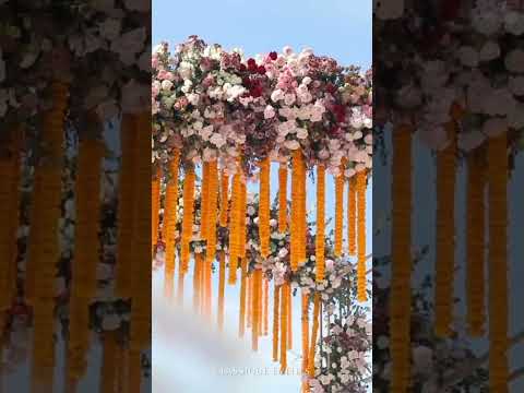 Wedding Planner portfolio by Classique Events in Delhi - Photo 2