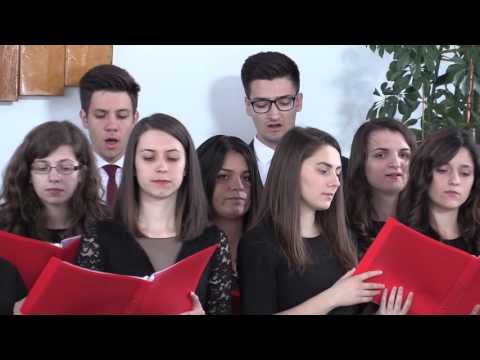 Amicus Timisoara - Program de Paste