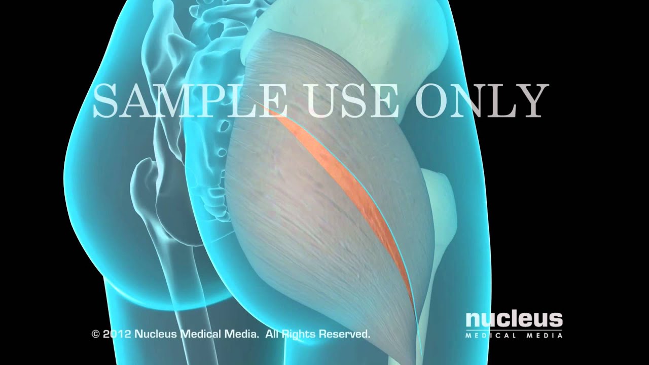 Neftali Lagos Mariscal-9