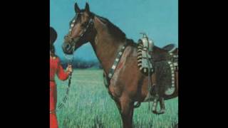 Shannen Moser - your undertaker