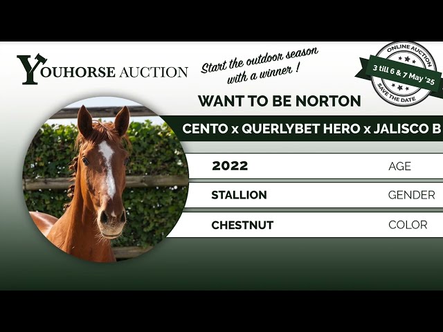 Want to be Norton