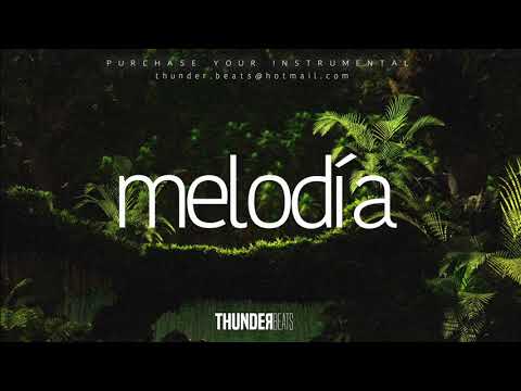 🎵🌴DANCEHALL x AFRO x FLUTE x CAPITAL BRA BEAT  | "melodía" | THUNDER BEATS