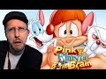 Pinky Elmyra And The Brain Was That Real