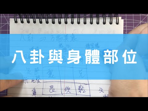 八卦身體部位