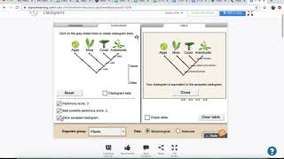 Cladogram Gizmo Tutorial