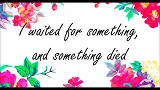 Nothing Arrived - The Villagers Lyrics (Acoustic)