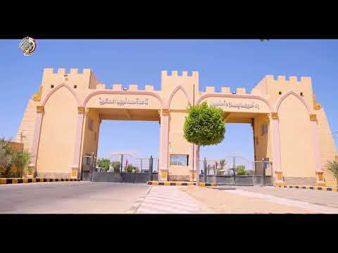 استمرار فعاليات التدريب المشترك النجم الساطع 2025 بقاعدة محمد نجيب وعدد من القواعد البحرية والجوية