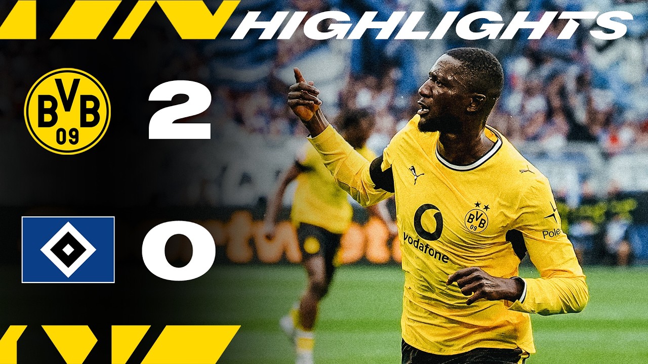 Borussia Dortmund 2 - 0 Hamburger SV highlights