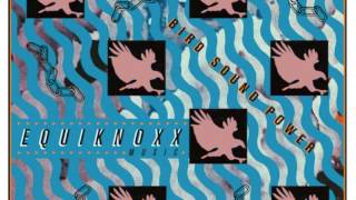 Equiknoxx - A Rabbit Spoke To Me When I Woke Up