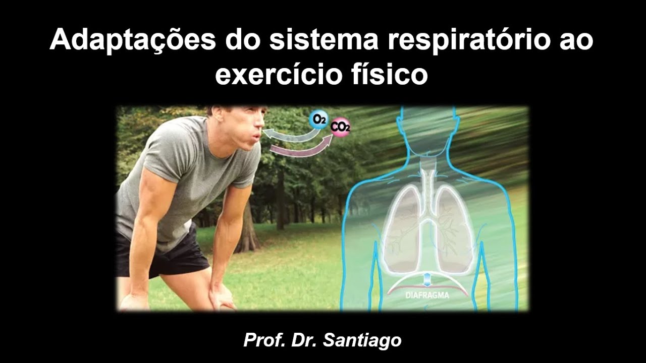 AULA 3.1 - Adaptações do Sistema Respiratório ao Exercício Físico