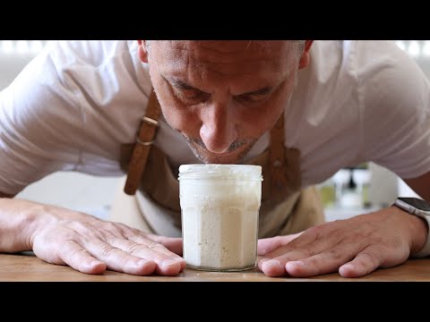 Using Your Senses To Know When Your Sourdough Starter is Ready to Use