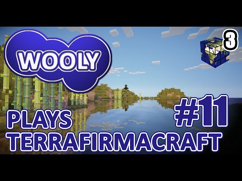 Charcoal Tower - Wooly Plays Terrafirmacraft - Ep11 - Earth Cubed Server