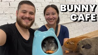 Visiting a Bunny Cafe in Thailand | S01 E139